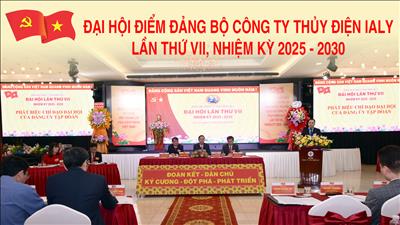 Đại hội điểm Đảng bộ Công ty lần thứ VII, nhiệm kỳ 2025-2030