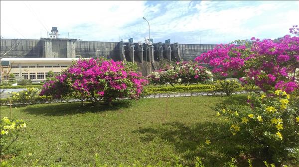 Thủy điện Pleikrông cán đích kế hoạch trước 72 ngày